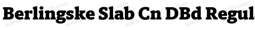 Berlingske Slab Cn DBd Regular字体转换